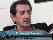 30 online: ¿Si producimos menos Terneros, el precio de la carne aumentará?; con E. Colombo