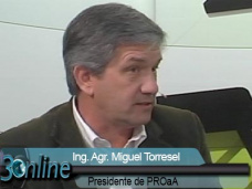 30 online: ¿Cómo manejan el aumento de costos, alquileres y estructura los pooles?; con M. Torresel - PROAA