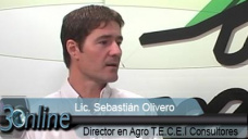 30 online: Soja y Precios, escaséz en EEUU, freno de ventas en Brasil y acá se venderá un 40%; con S Olivero