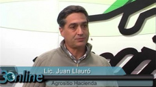 30 online: Invernada firme, gordo estable y feedlots compradores, ¿y....?; con J. Llauró