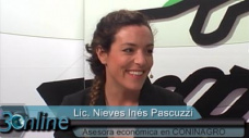 30 online: ¿Cómo volver a tener competitividad y rentabilidad en las Economías Regionales?; con N. I. Pascuzzi
