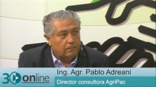 30 online: ¿Será mejor vender ahora la Soja disponible?; con Pablo Adreani