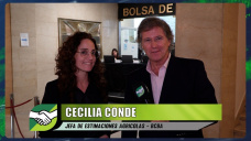 ¿Podemos superar las 6,5 Mill. Has. y 18 Mill Tns. de Trigo si las lluvias acompañan?; con C. Conde - BCBA