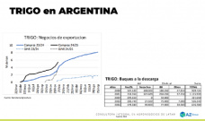 Trigo: por la presión de cosecha, se vende trigo al exterior; con Lorena D´Angelo - Clínica de Granos