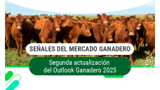 Ganadería argentina: las señales del mercado y las oportunidades según los CREA