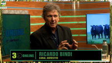 Arrancando en 1° y acelerando A FONDO!; con Ricardo Bindi