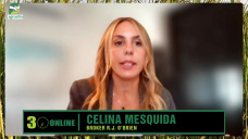 Geopolítica, fondos, Brasil, y cómo manejar el 