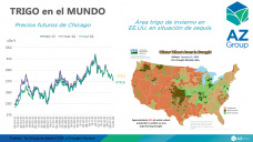 Trigo: Producción local récord y volumen de equilibrio bajo, con Sofía Ganly - Clínica de Granos