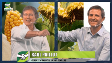 Hablando de potencial genético y umbrales de rendimiento; con Raúl Paillot - NK Semillas