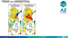 Trigo: 