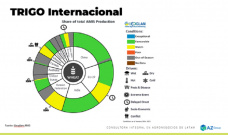 Trigo: el cereal lideró la mejora de precios; con Lorena D´Angelo - Clínica de Granos