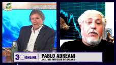La oferta mundial y el techo para la suba de maíz y soja; con Pablo Adreani