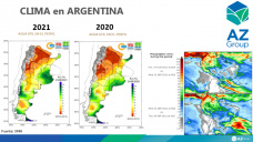 La atención del trigo se lo lleva el clima local, con Lorena D´Angelo - Clínica de Granos