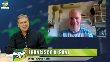 Agronomía enfocada en Celiaquía: INTA y su variedad de 