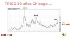 Trigo: avanza la siembra local, y el mundo construye toneladas por ahora sin problemas, con Paulina Lescano - Clínica de Granos