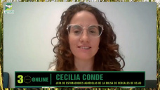 ¿Si llueve se sembrarán hasta las banquinas, más de 7 Mill. Has. de Trigo?; con Cecilia Conde - Bolsa de Cereales