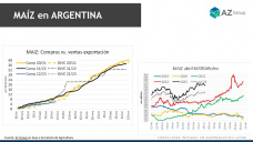 Maíz: En sintonía con el comportamiento externo pero con condimentos propios, con Lorena D´Angelo - Clínica de Granos