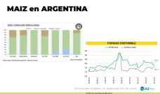 Maíz: Mejora el clima para los cultivos implantados, ¿y los precios?; con Lorena D´Angelo - Clínica de Granos