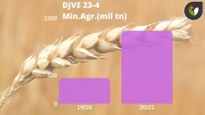 Trigo: se acabó lo que se daba?, con Paulina Lescano - Clínica de Granos