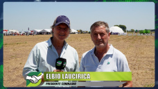 ¿Deben bancar el campo y la Mesa de Enlace los controles de un Massa desorientado?; con E. Laucirica - Pte. Coninagro