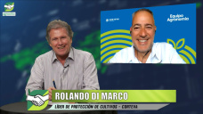 Control eficiente de malezas de hoja ancha y gramíneas; con Rolando Di Marco - agrónomo