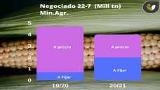 Maíz: dos mercados, dos tendencias distintas, con Paulina Lescano - Clínica de Granos