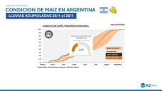 Maíz: ¿Qué pasa con el precio?, ¿y qué pasará?; con Sofia Gayo - Clínica de Granos