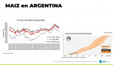 Maíz: El cereal argentino recibe el mayor castigo; con Lorena D´Angelo - Clínica de Granos