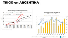 El trigo nuevo llego a usd 220 ¿Cuánto sembramos?; con Lorena D´ Angelo - Clínica de Granos