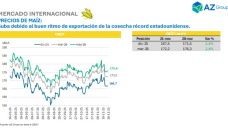 Maíz sostenido por el buen ritmo de ventas de la campaña record de EE.UU. ; con Clara Treachi - Clínica de Granos