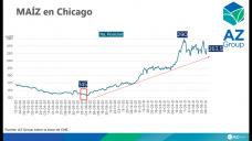 Maíz: producción record de maíz en EE.UU. para el 2021/22, con Lorena D´Angelo - Clínica de Granos