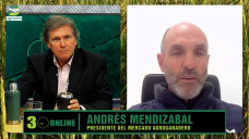Hasta Julio el abastecimiento de gordo y carne será fluido, ¿y después?; con A. Mendizabal - Pte. MAG