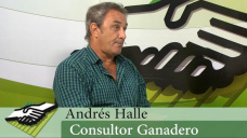 TV: ¿Cómo está la Relación ternero / novillo?; con Andrés Halle