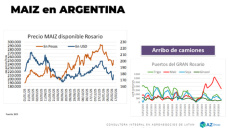 Si no vendiste maíz, esperaaaaa; con Lorena D´ Angelo - Clínica de Granos