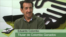 TV: ¿Es real el fenómeno del -retorno ganadero- por pérdidas en agricultura?; con E. Colombo