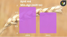 Trigo: que hacemos con el trigo nuevo que recupero localmente?, con Paulina Lescano - Clínica de Granos