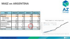 El maíz argentino sólo puede tener buen precio si exporta, con Lorena D´Angelo - Clínica de Granos