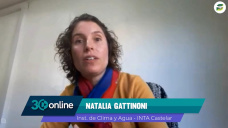 Primeros días de junio con sistemas frontales más activos en lluvias; con N. Gattinoni - INTA