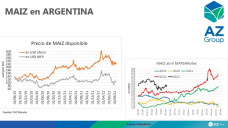 Maíz: El precio más sostenido por la menor oferta proyectada, con Lorena D´Angelo - Clínica de Granos