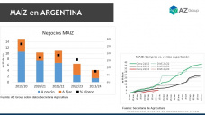 Maíz: El rumor de aumento de impuestos impacta en los precios futuros; con Lorena D´Angelo - Clínica de Granos