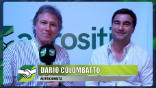 Técnica y arte de la alimentación Ganadera con buenos resultados; con Darío Colombatto - nutricionista