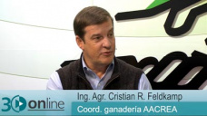 30 online B1: ¿Hay oportunidades Ganaderas al 2016?, le preguntamos al Coordi. CREA; con C. Feldkamp
