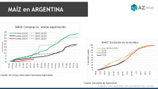Maíz: la mejora del clima presiona a los precios futuros; con Lorena D´Angelo - Clínica de Granos