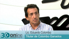 30 online B3: ¿El que no haga Novillo de 400 kg para consumo y exportación es boleta?; con E. Colombo