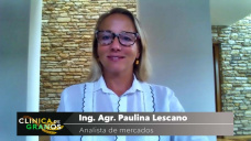 Soja: no aparecen noticias alcistas de peso... y localmente el mayor riesgo es a la baja?, con Paulina Lescano - Clínica de Granos