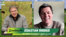 Crece la demanda de genética premium: Brangus, Braford y Brahman de Las Lilas; con Sebastián Rhodius - veterinario