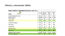 Maíz: se suman noticias alcistas, y en todas aparece CHINA, con Paulina Lescano - Clínica de Granos