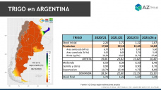 Trigo: Sin agua la cosecha del cereal 23/24 está comprometida, con Lorena D´Angelo - Clínica de Granos