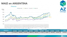 Maíz: ¿Cuál será el ajuste definitivo para la producción del temprano?, con Sofía Ganly - Clínica de Granos