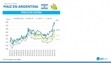 Maíz: Subas en el precio por expectativas climáticas; con Sofía Gayo - Clínica de Granos